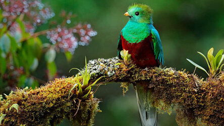 15 Day Costa Rica - Coast to Coast (Explore)