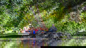 14 Day Upgraded - Costa Rica Wildlife (Explore)