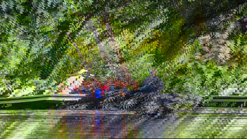 Upgraded - Costa Rica Wildlife