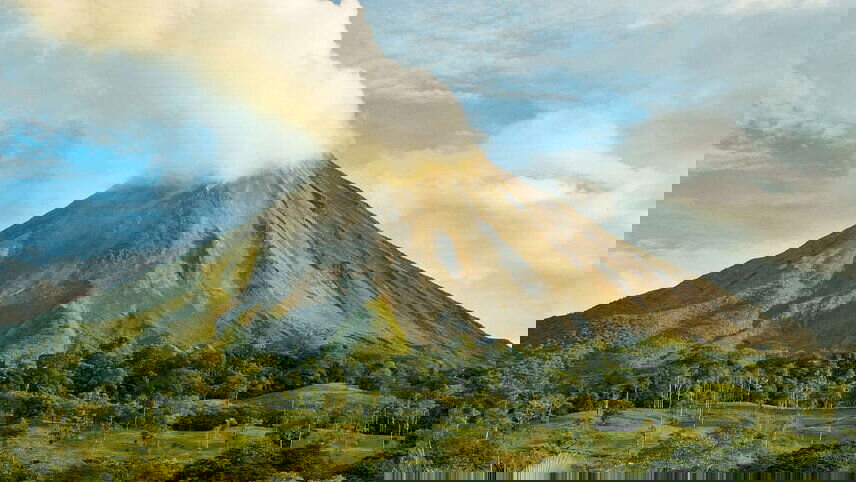 Upgraded - Costa Rica Wildlife