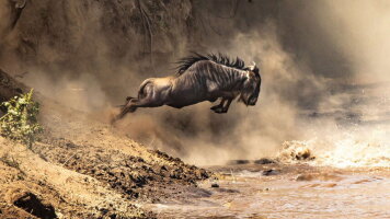 12 Day Upgraded - Highlights of Kenya & Tsavo (Explore)