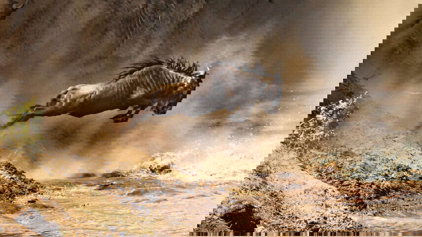 Upgraded - Highlights of Kenya & Tsavo