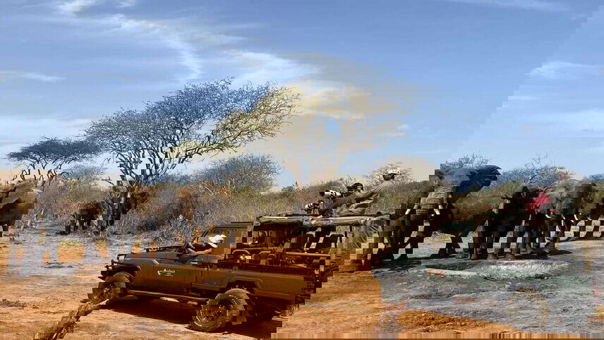 Upgraded - Highlights of Kenya & Tsavo