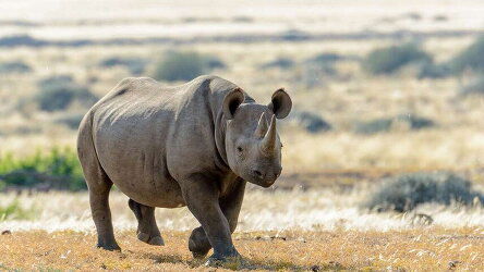 14 Day Upgraded - Highlights of Namibia (Explore)