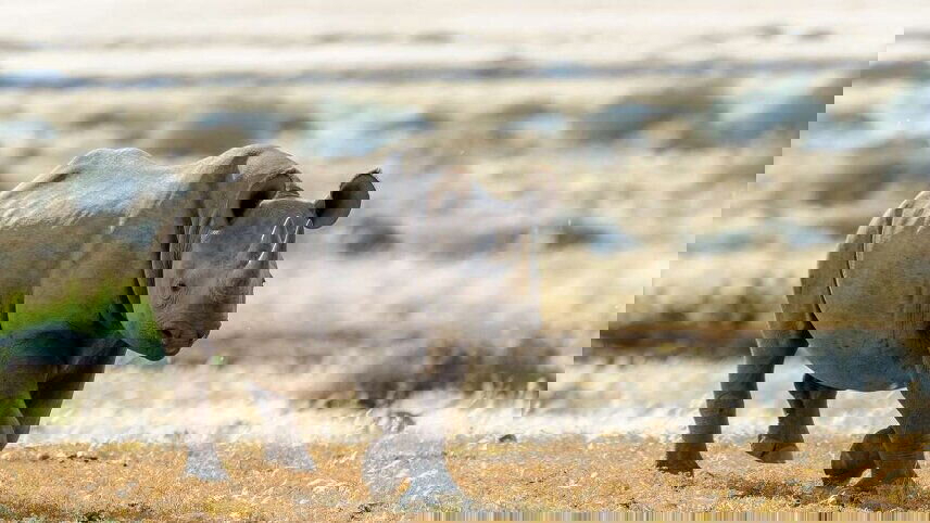 Upgraded - Highlights of Namibia