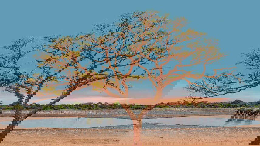 Upgraded - Highlights of Namibia