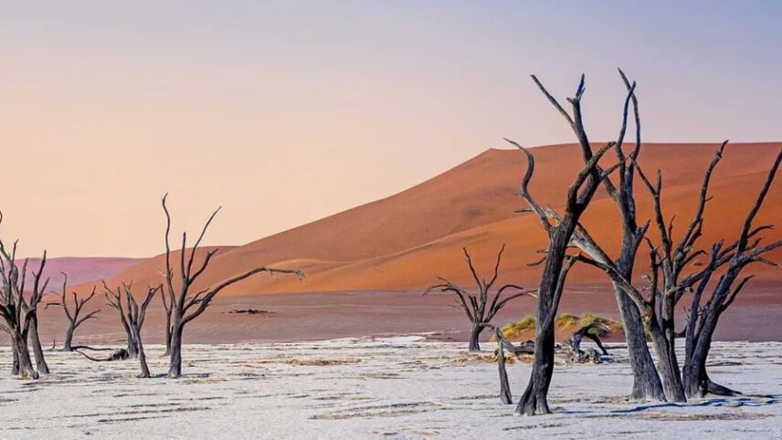 Upgraded - Highlights of Namibia
