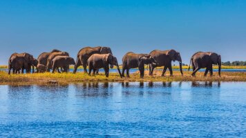 12 Day Upgraded - Botswana Wildlife Safari (Explore)