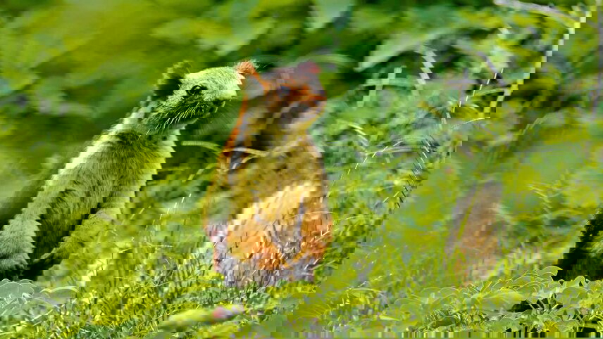 Highlights of Southern India