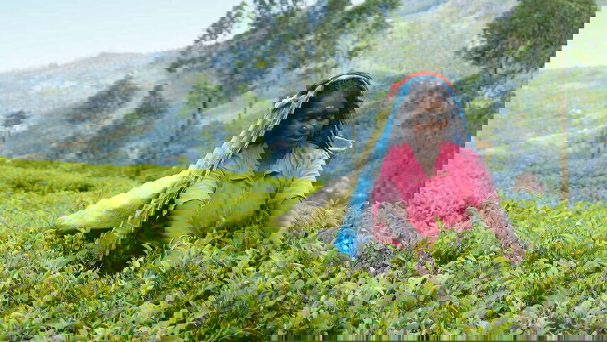 Upgraded - Discover Sri Lanka