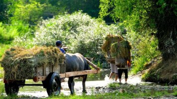 14 Day Upgraded - Vietnam & Angkor (Explore)