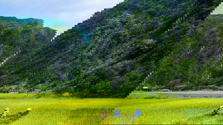 Upgraded - Discover Vietnam