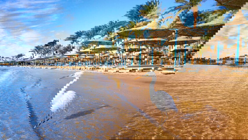 Classic Egypt with Nile Cruise & Red Sea Extension