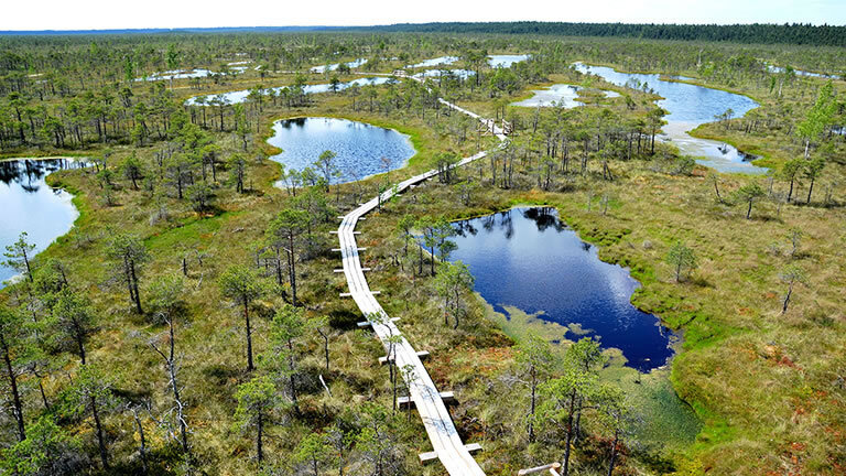 Walk Estonia, Latvia & Lithuania
