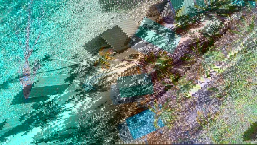 Family Belize Wildlife Adventure