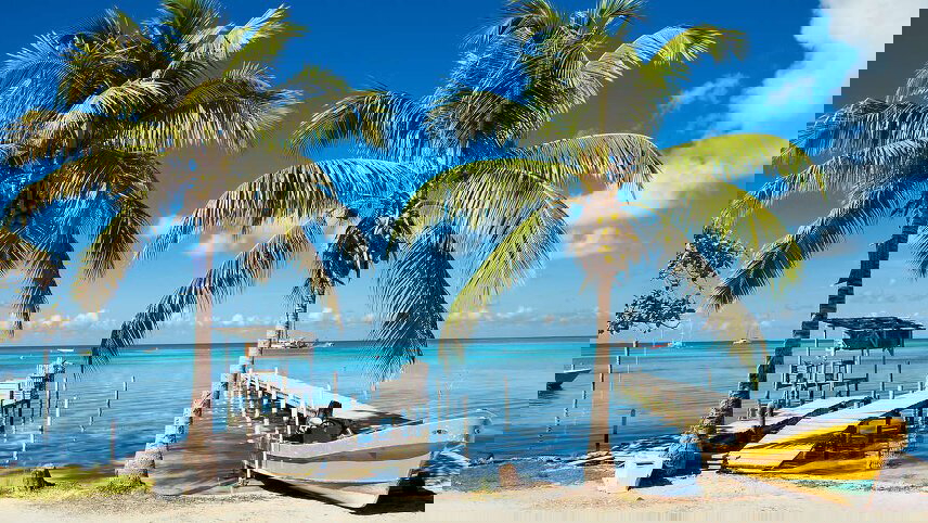 Family Belize Wildlife Adventure