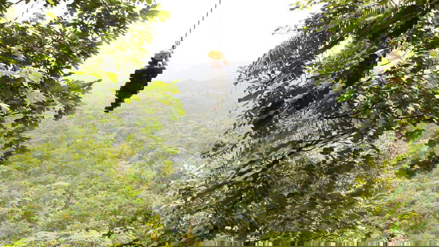 Family Costa Rica Rainforest & Wildlife Adventure