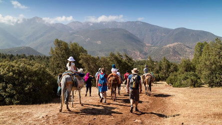 8 Day Family Marrakech, Atlas & Essaouira Adventure (Explore!)