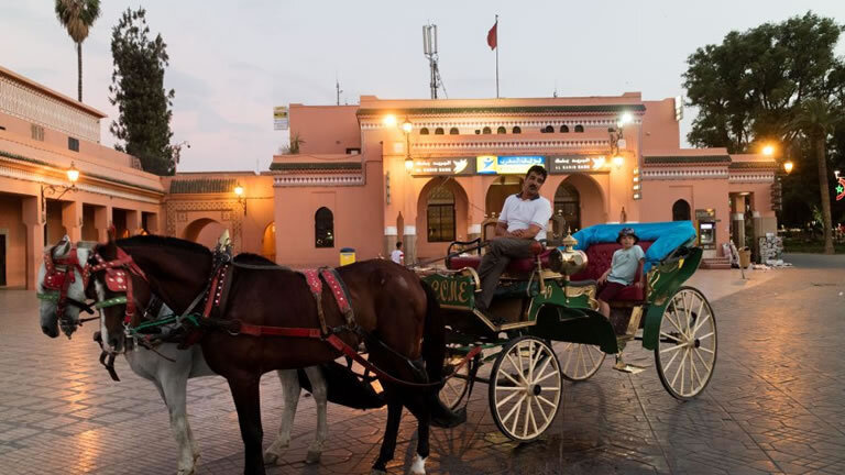 Family Marrakech, Atlas & Essaouira Adventure