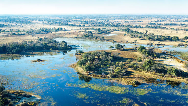 Family Botswana & Zimbabwe Safari Adventure