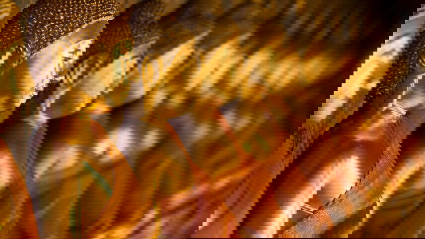 Family Thailand Active Jungle & Beach Adventure