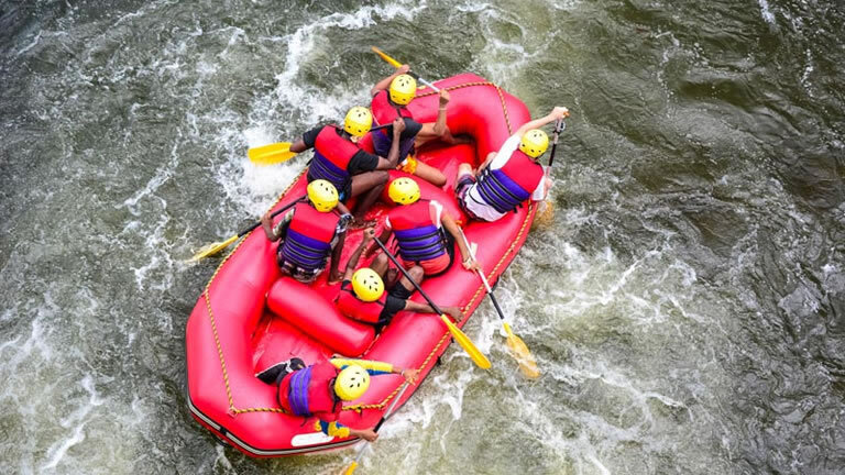 Family Highlights of Sri Lanka (East Coast)