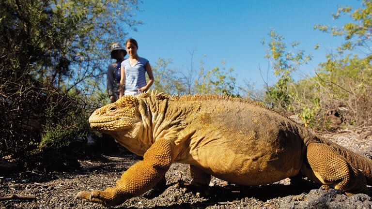 Machu Picchu & Galapagos