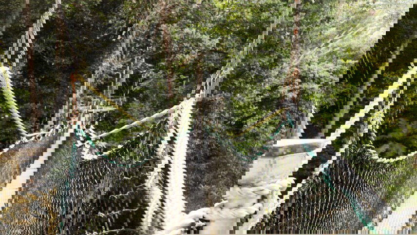 Natural Wonders of Guyana