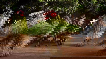 13 Day The Ivory Coast (Explore)