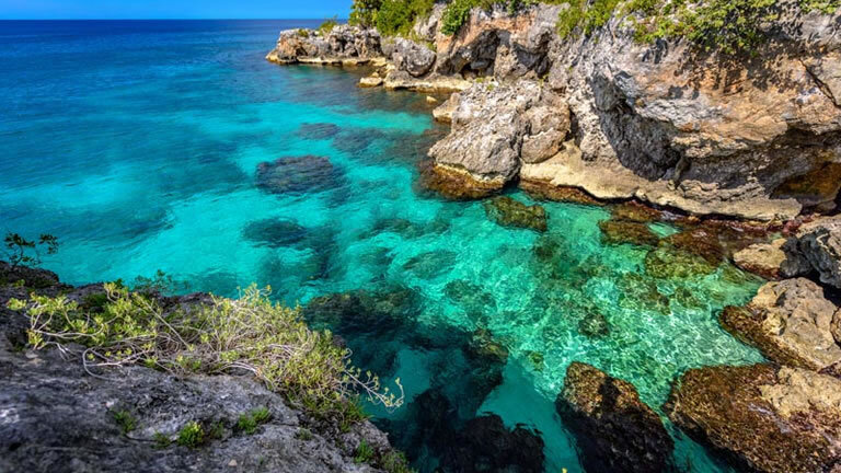 Explore Jamaica