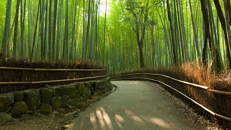 Japan In Depth - Footsteps of the Shogun