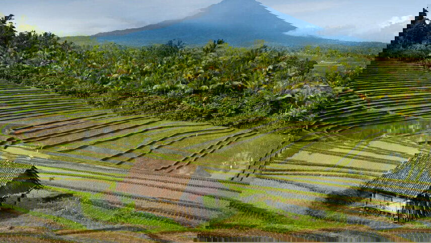 Discover Bali, Flores & Komodo Islands