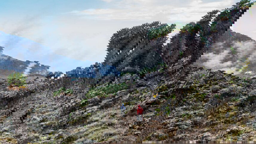 Kilimanjaro - Rongai Trek