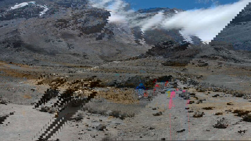 Kilimanjaro - Lemosho Trek (Safari Extension)