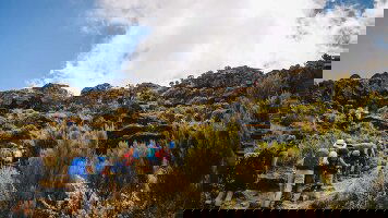 13 Day Kilimanjaro - Lemosho Trek (Safari Extension) (Explore)