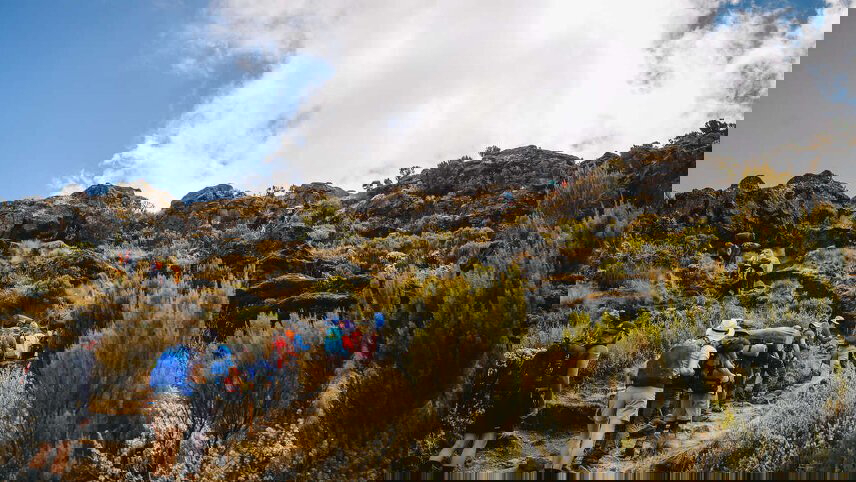 Kilimanjaro - Lemosho Trek (Safari Extension)