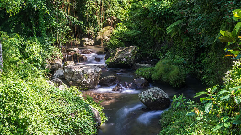 Discover Indonesia's Eastern Islands