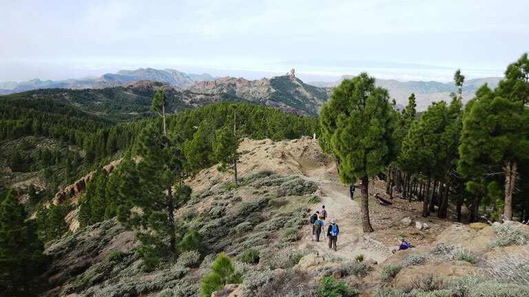 Canary Islands Walking - Gran Canaria