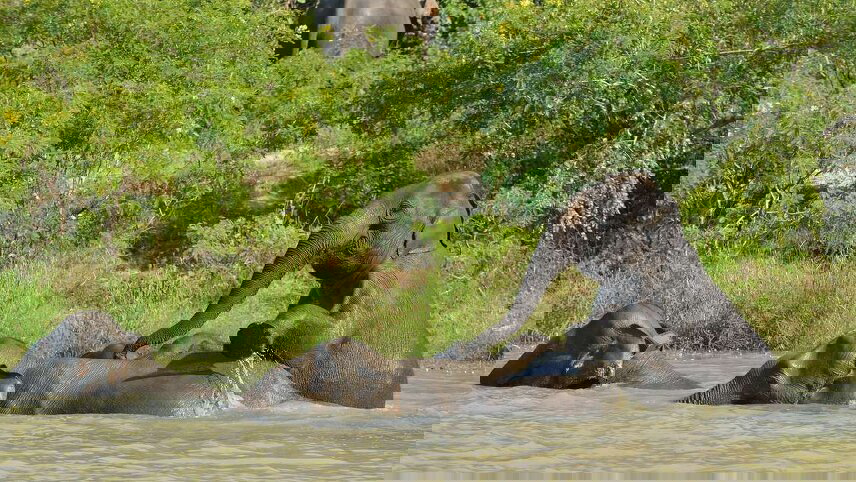 Borneo Sarawak & Sabah Discovery