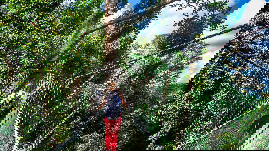 Borneo Sarawak & Sabah Discovery