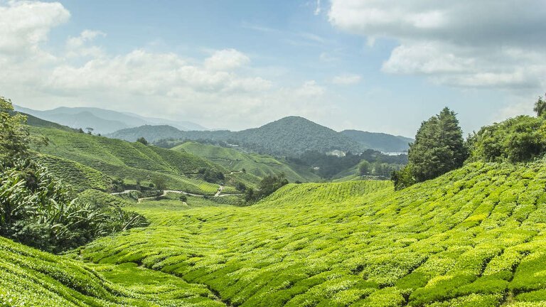 Malaysia & Singapore Explorer