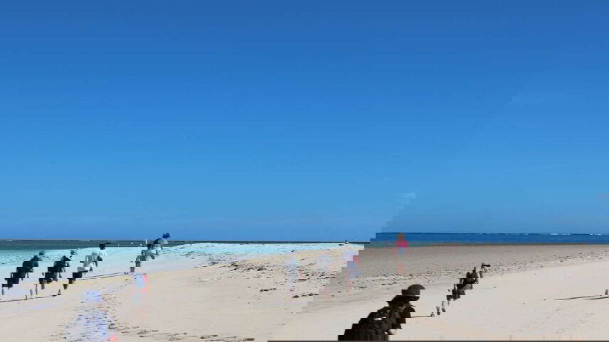 Madagascar: The Lost Continent