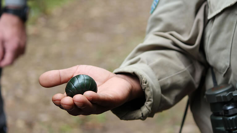 Madagascar: The Lost Continent