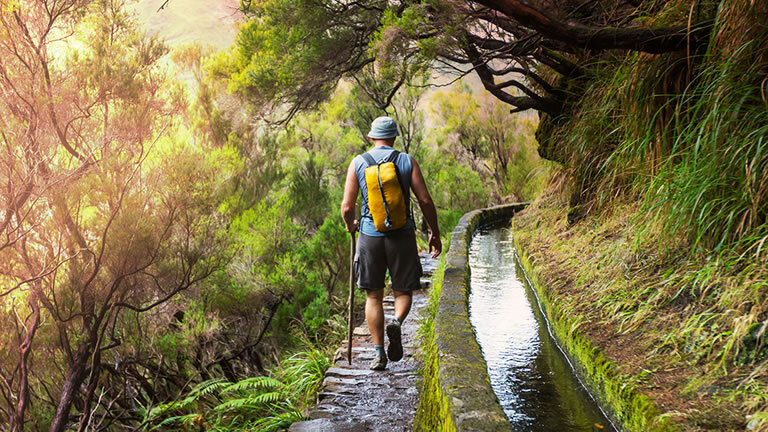 Madeira Island Discovery