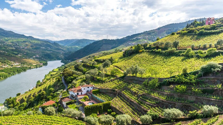 Walks & Wine Tasting in Spain & Portugal