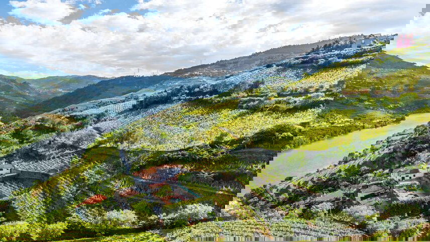 Walks & Wine Tasting in Spain & Portugal