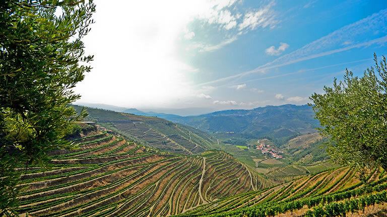 A Taste of Portugal - Porto & the Douro Valley