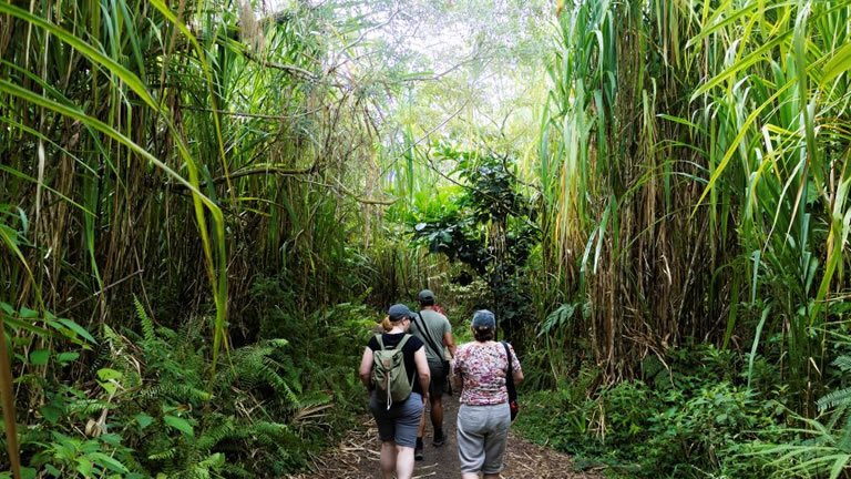 Hiking in Costa Rica & Nicaragua