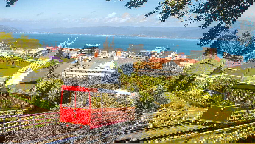 New Zealand Explorer