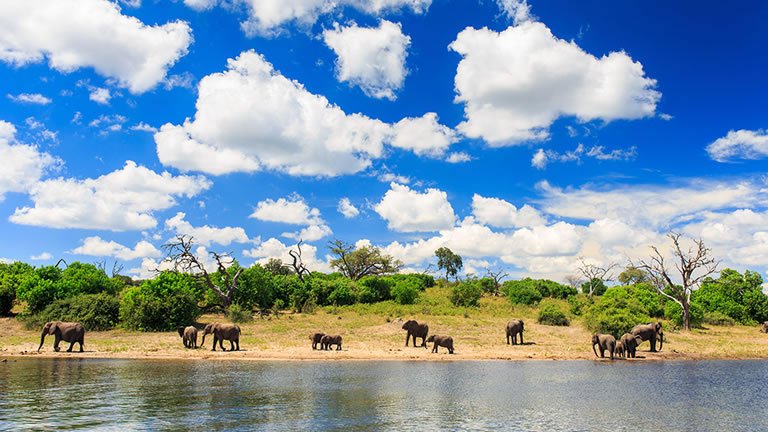 Botswana's Premium Safari
